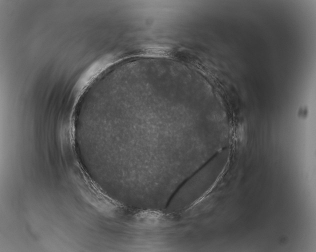 X0000115700294200912031511