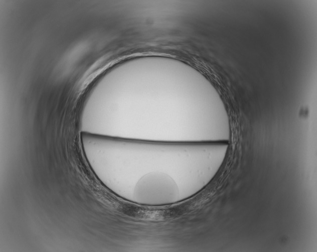 X0000115700295200912031511