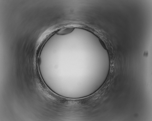 X0000115700296200912031511