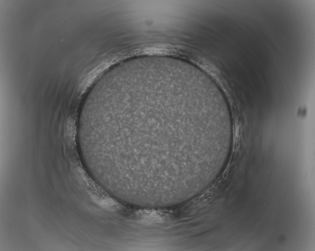 X0000115700297200912031511