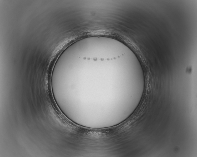 X0000115700298200912031511