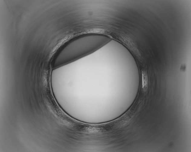 X0000115700300200912031511