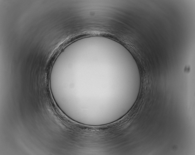 X0000115700304200912031511