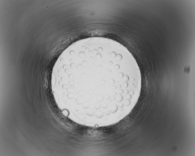 X0000115700311200912031511