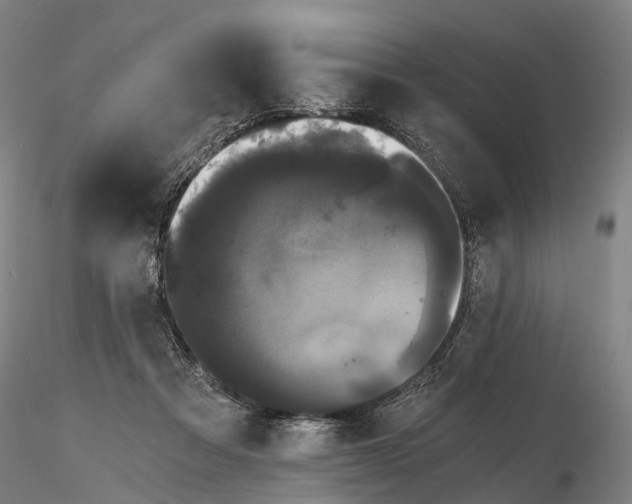 X0000115700313200912031511