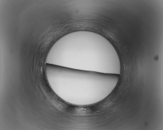 X0000115700315200912031511