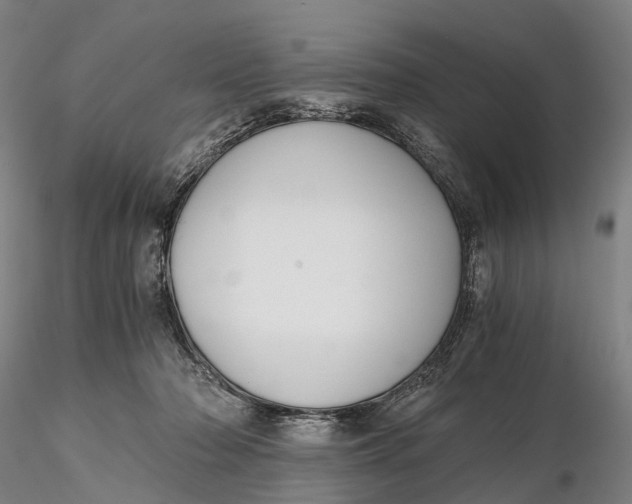 X0000115700318200912031511