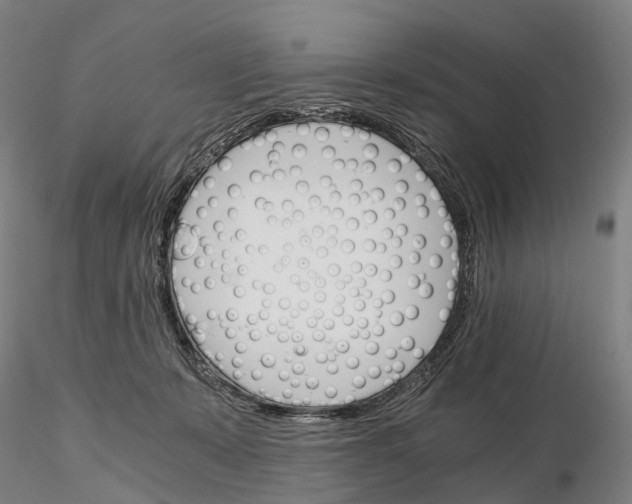 X0000115700319200912031511