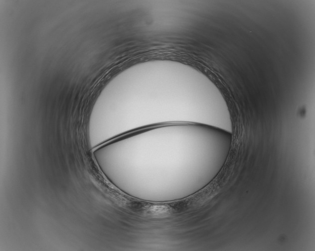 X0000115700324200912031511