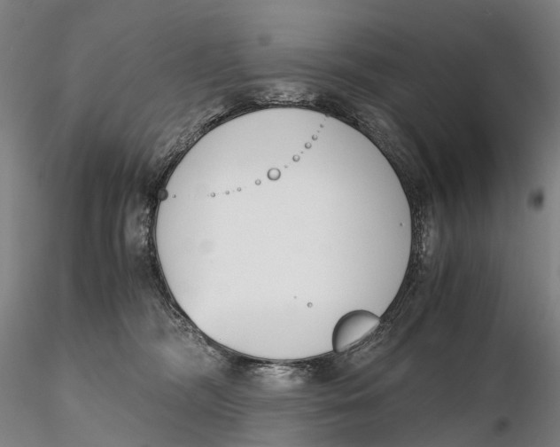 X0000115700326200912031511