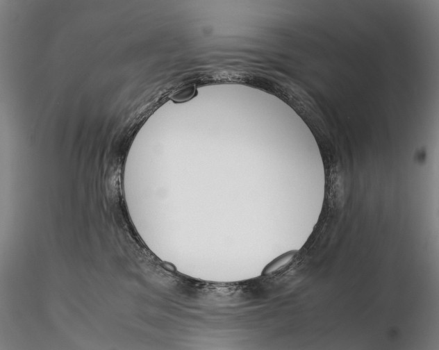 X0000115700329200912031511