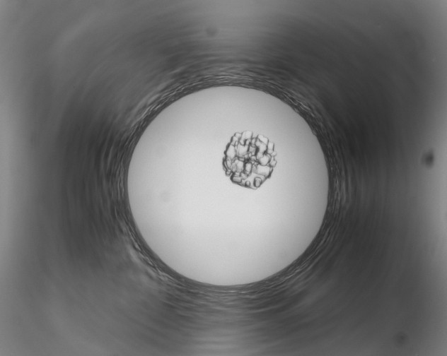 X0000115700332200912031511