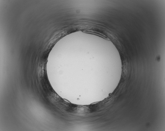 X0000115700333200912031511