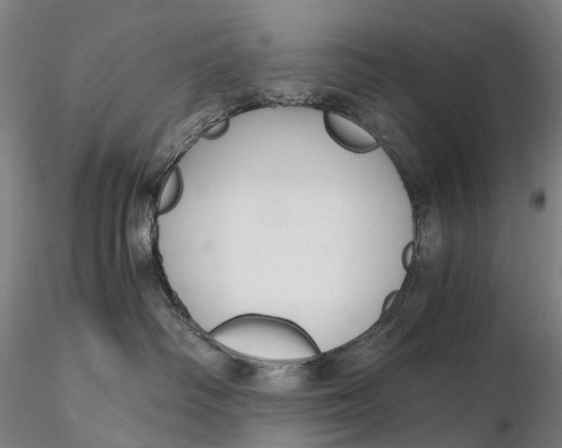 X0000115700334200912031511