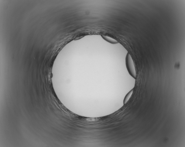 X0000115700335200912031511