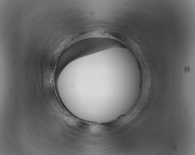 X0000115700336200912031511