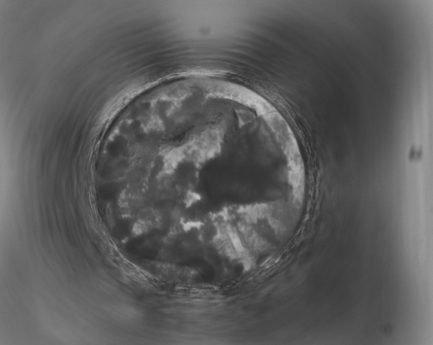 X0000115700337200912031510