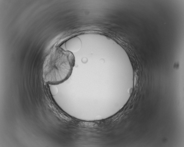 X0000115700339200912031510