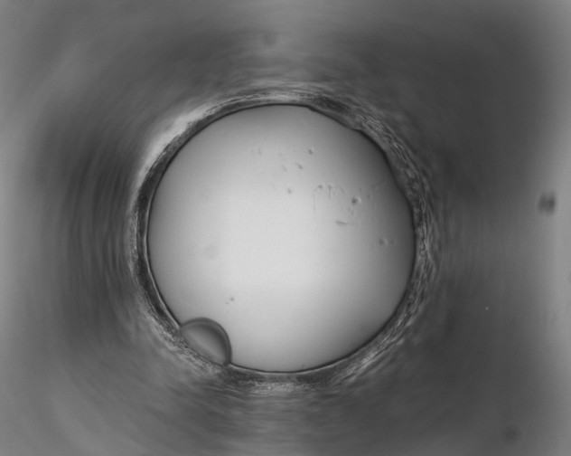 X0000115700342200912031510