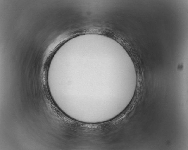 X0000115700343200912031510