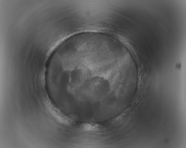 X0000115700346200912031510