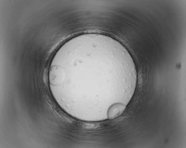 X0000115700347200912031510