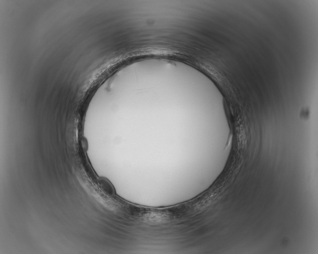 X0000115700350200912031510