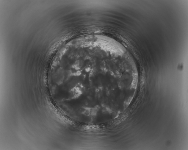 X0000115700353200912031510