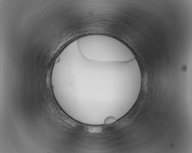 X0000115700355200912031510