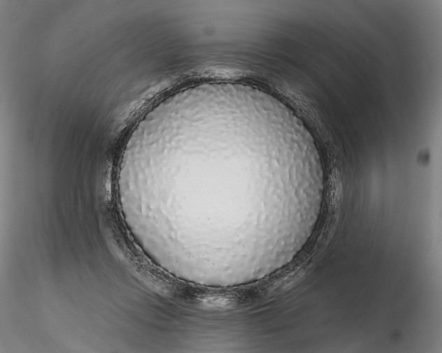 X0000115700358200912031510