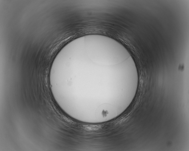 X0000115700359200912031511