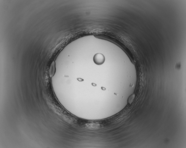 X0000115700362200912031511