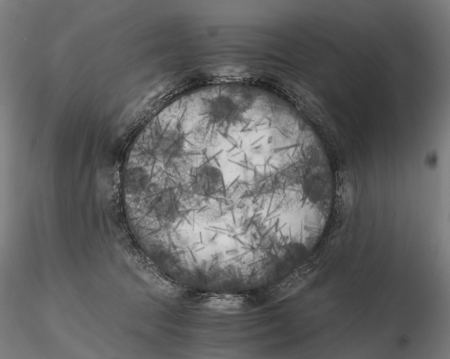 X0000115700369200912031511