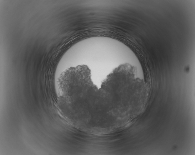 X0000115700371200912031511