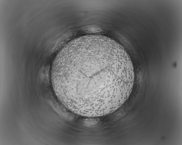 X0000115700373200912031511