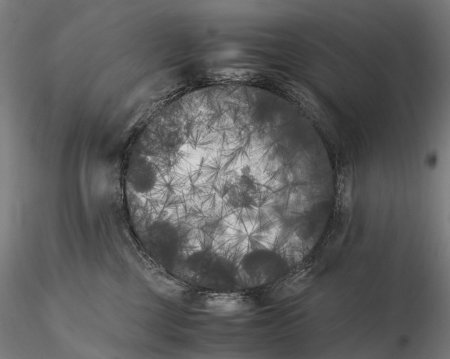 X0000115700377200912031511