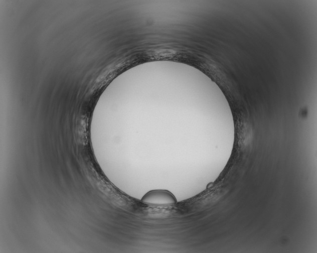 X0000115700378200912031511