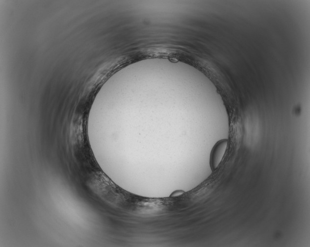 X0000115700381200912031511