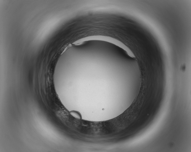 X0000115700382200912031511