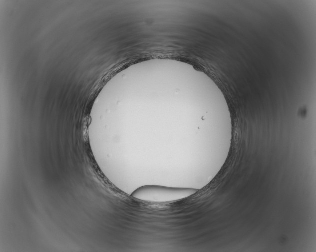 X0000115700383200912031511