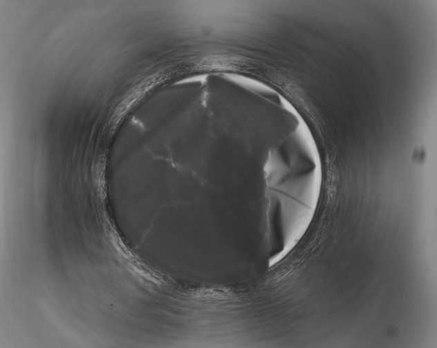 X0000115700386200912031510