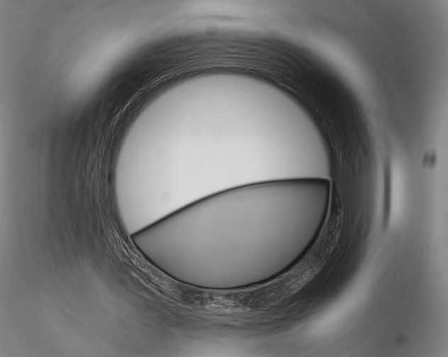 X0000115700387200912031510