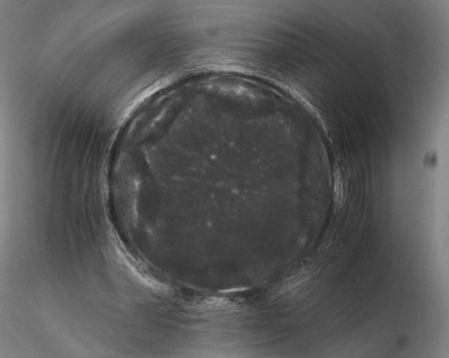 X0000115700390200912031510