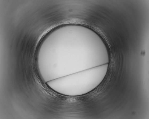 X0000115700392200912031510