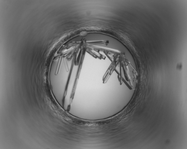 X0000115700395200912031510