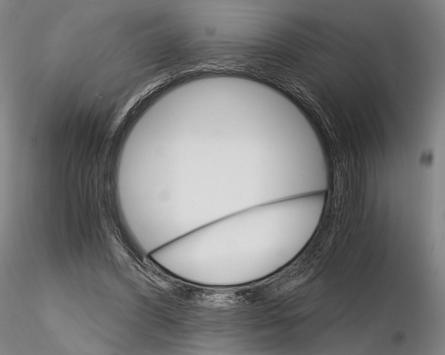 X0000115700396200912031510