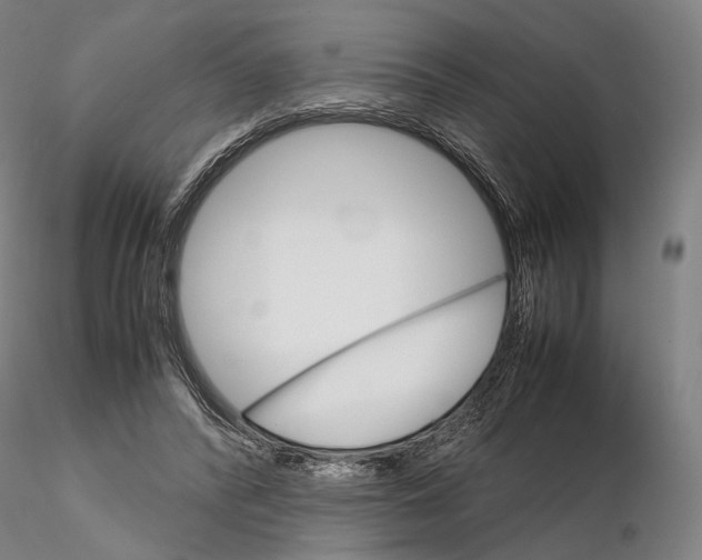 X0000115700400200912031510