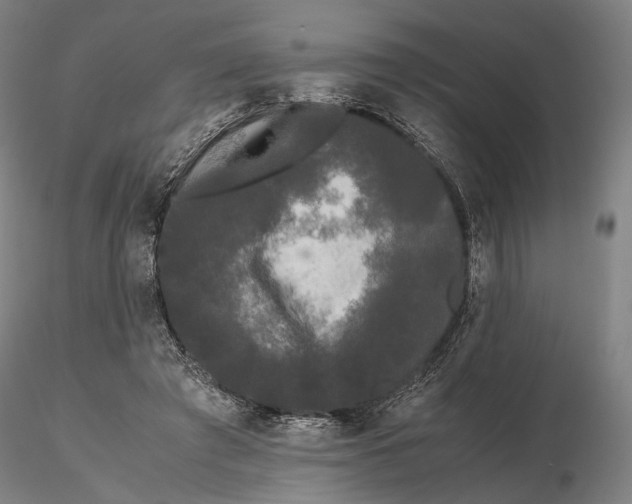 X0000115700401200912031510