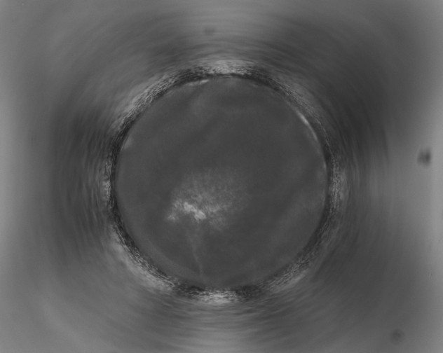 X0000115700402200912031510