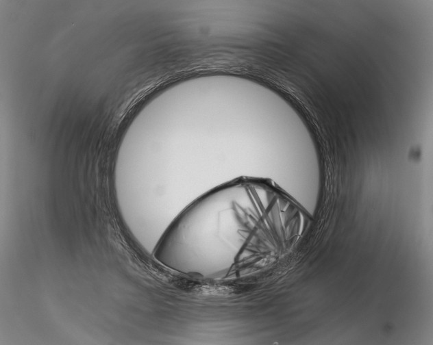 X0000115700403200912031510